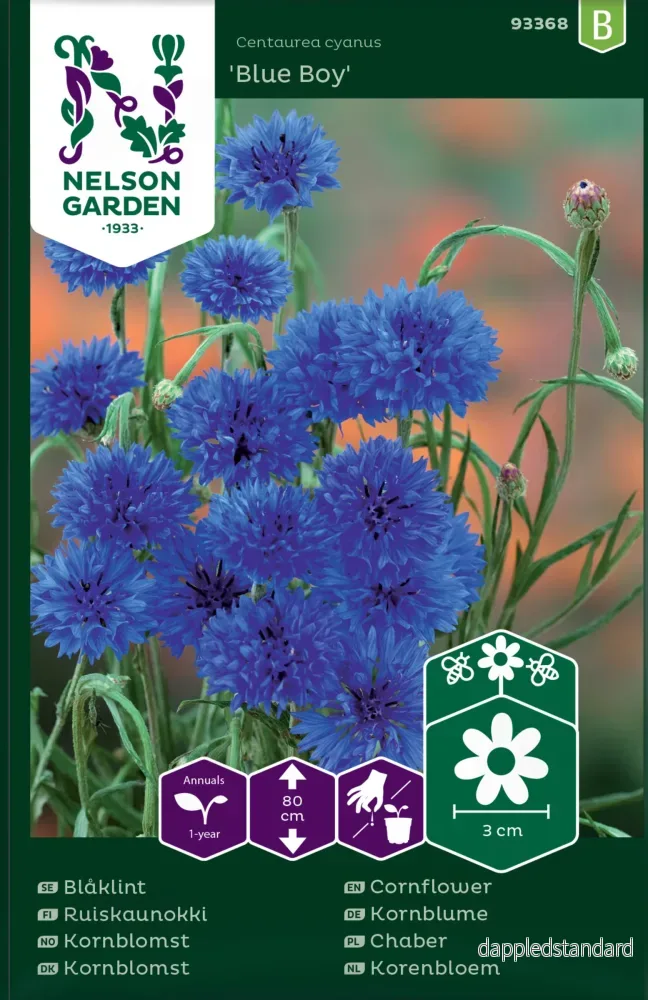 Blåklint, Blue Boy, Blå