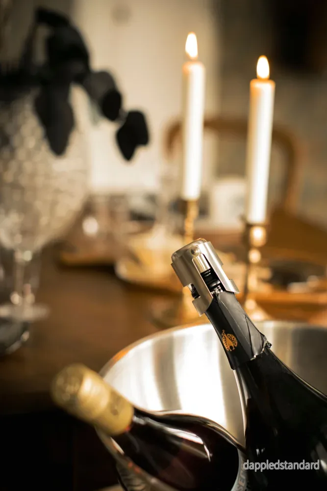 Bourdeaux Vin och champagne (förslutare) - Bild 3