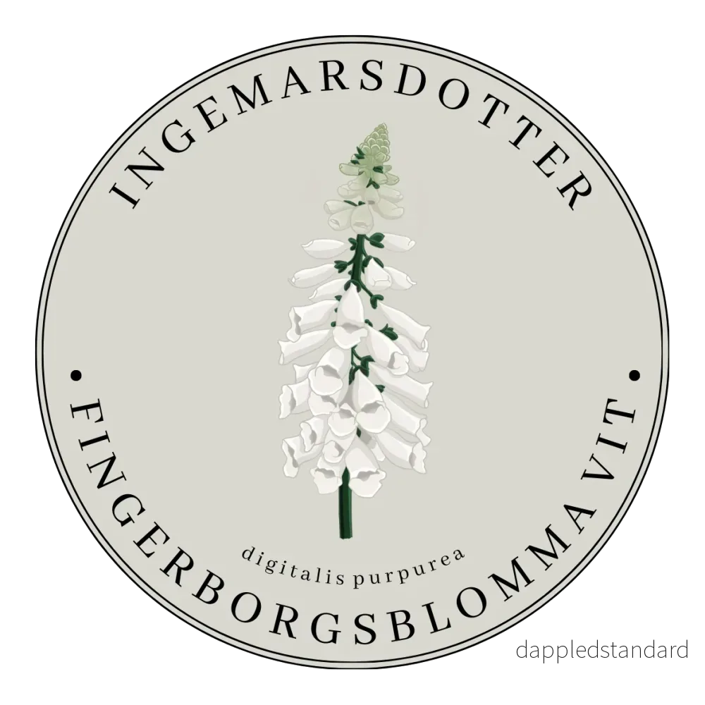Fingerborgsblomma Alba (storpack) Fingerborgsblomma Alba (storpack)