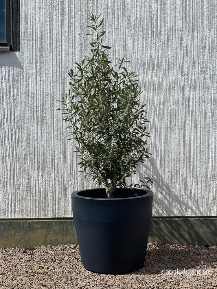 Kruka Acquario Rund 58 - diameter 58 cm - Bild 3