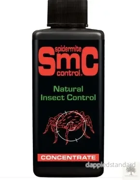 Skadedjursbekämpning spinnkvalster – Spidermite control Skadedjursbekämpning spinnkvalster – Spidermite control