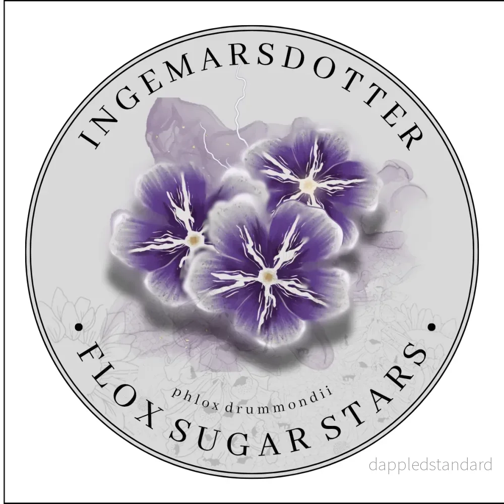 Flox Sugar Stars (storpack) Flox Sugar Stars (storpack)