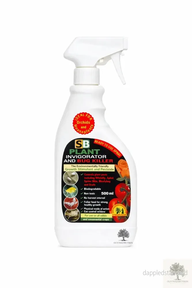 Skadedjursbekämpning ullöss – Spray mot ull & sköldlöss på olivträd Skadedjursbekämpning ullöss – Spray mot ull & sköldlöss på olivträd