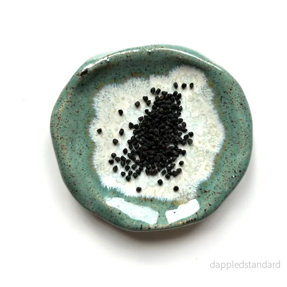 Kinesisk riddarsporre ´Hunky Dory Sky Blue´ - Bild 2