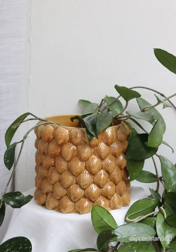 Snäckkruka gul