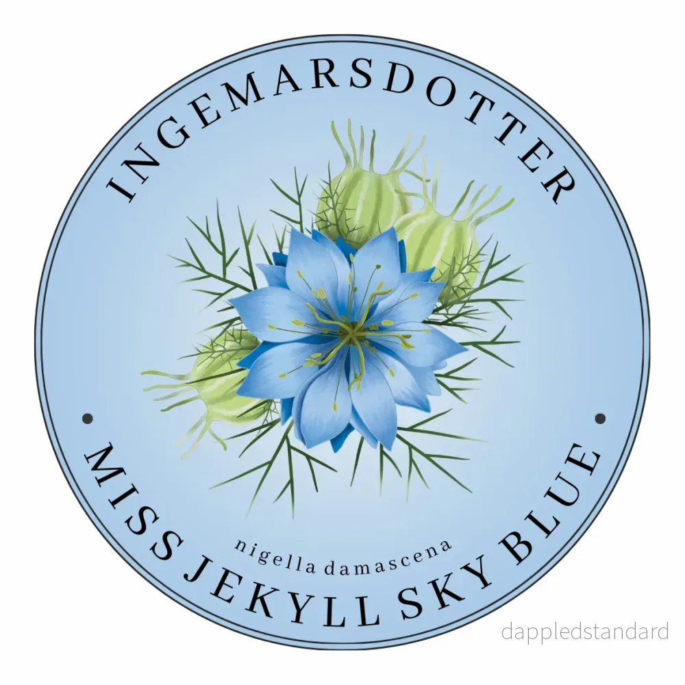 Nigella Miss Jekyll Skyblue (storpack) Nigella Miss Jekyll Skyblue (storpack)