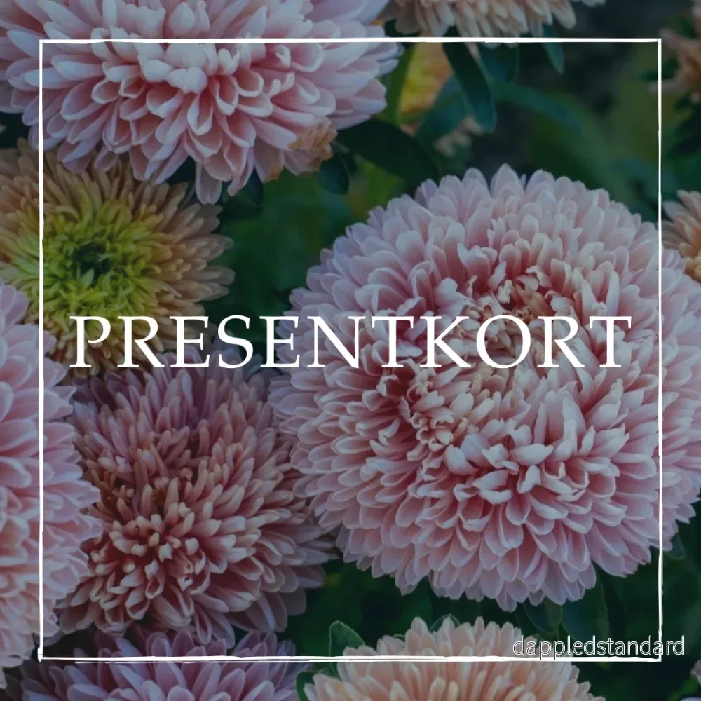 Presentkort