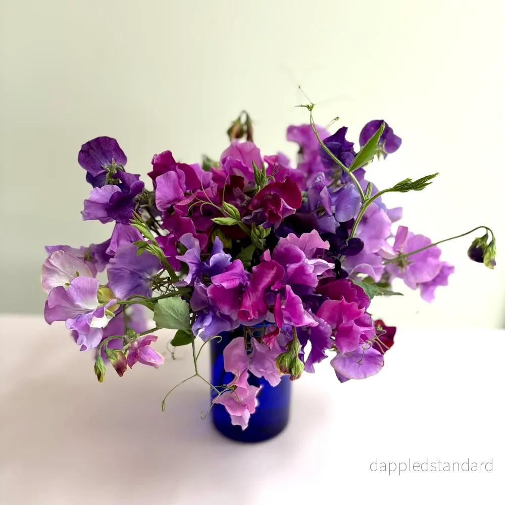 Purple Blues