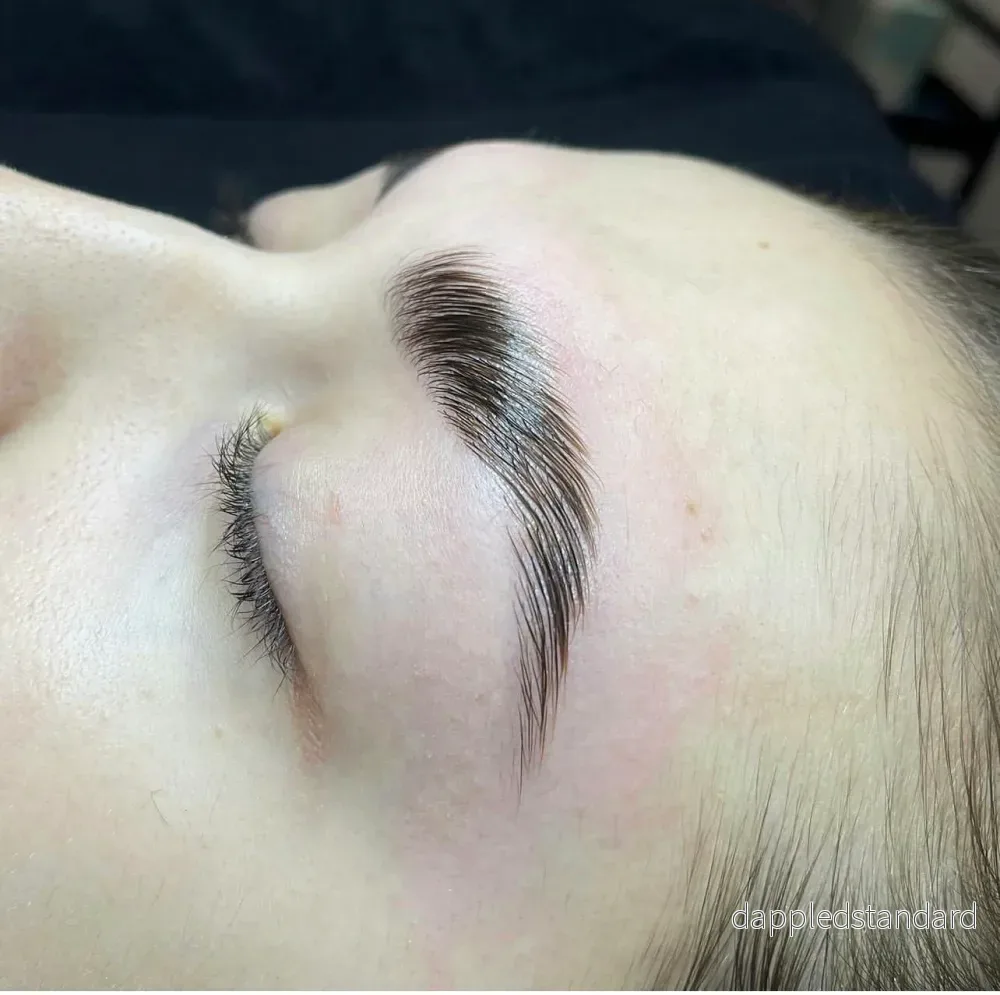 Grundutbildning - Browlift ONLINE - Bild 2