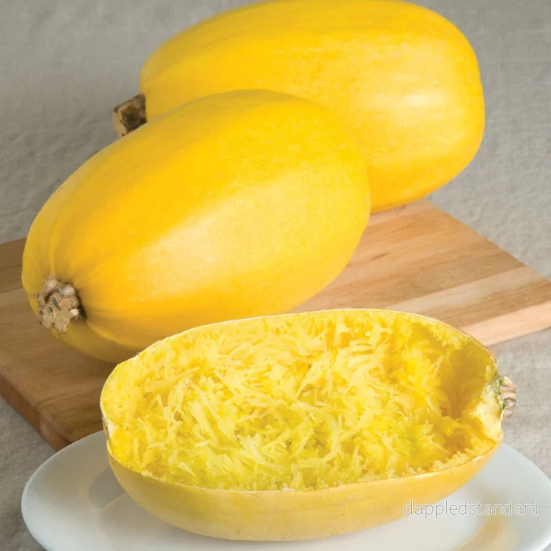 Spagettipumpa Spagettipumpa
