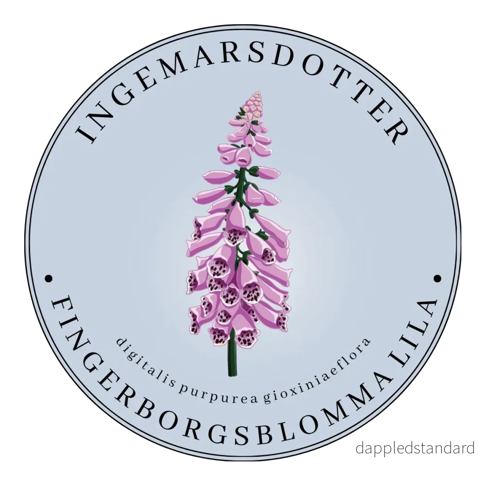 Fingerborgsblomma lila Fingerborgsblomma lila