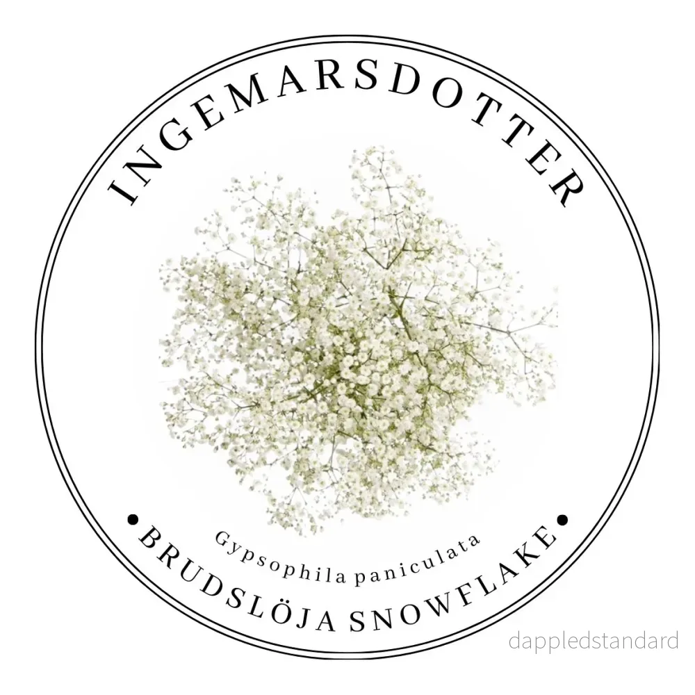 Brudslöja Snowflake Brudslöja Snowflake