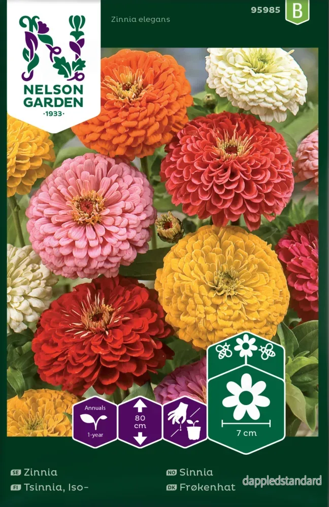 Zinnia, Hög blandade färger