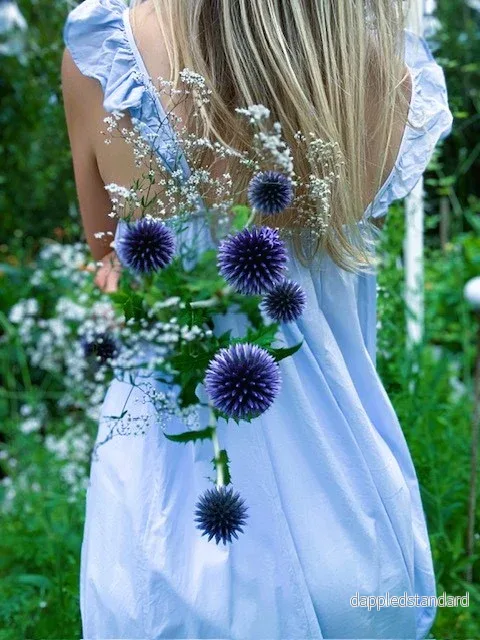 Bland Blommor och Glashus Bolltistel - Bild 3