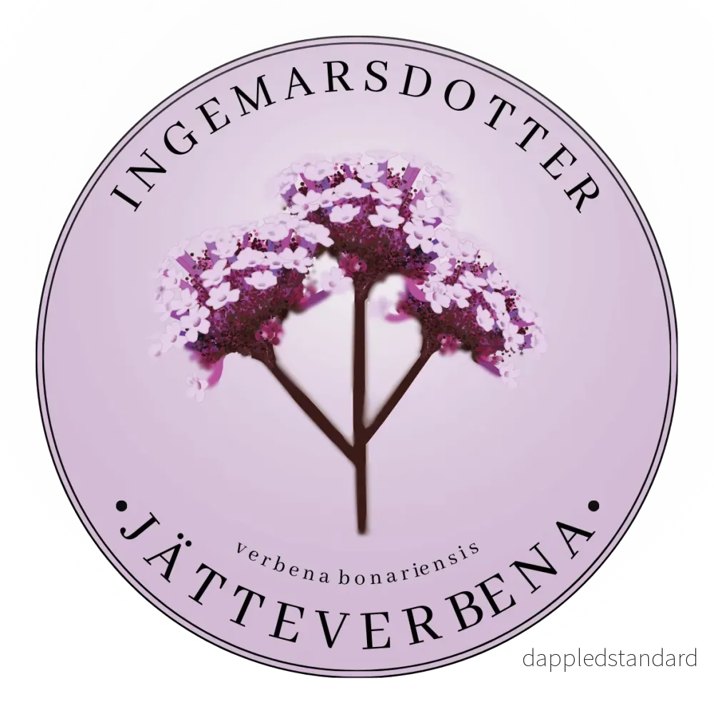 Jätteverbena Jätteverbena