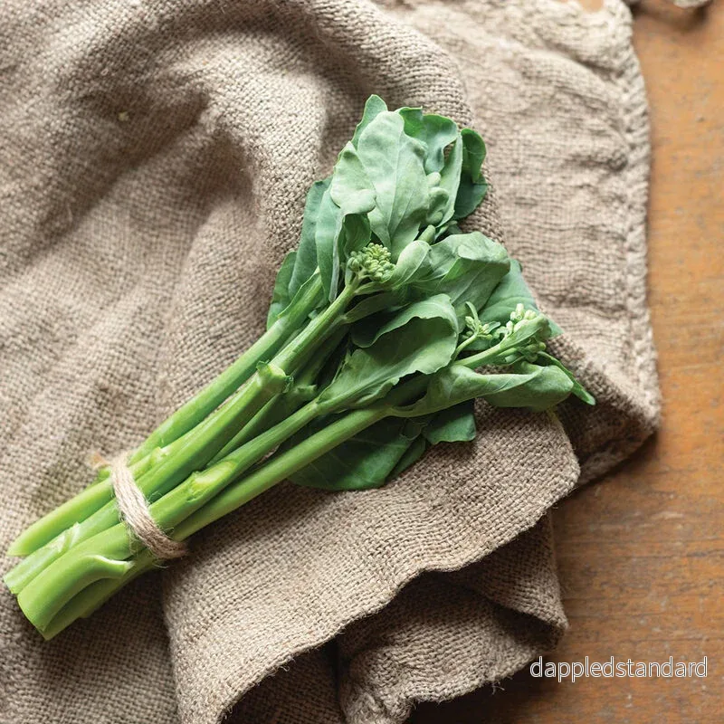 Broccoli ´Melody´ F1