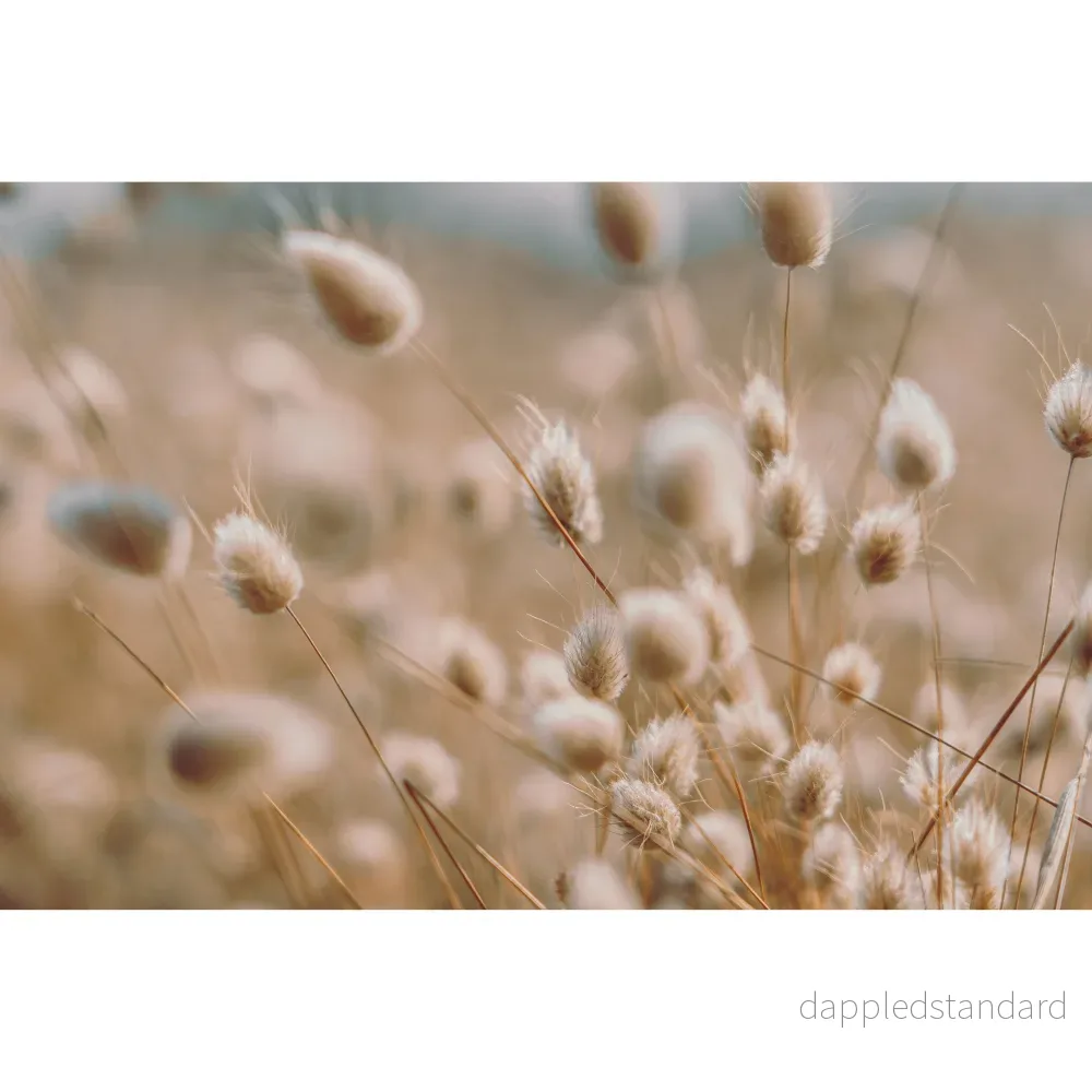 Harsvans ´Bunny Tails´ - Bild 2