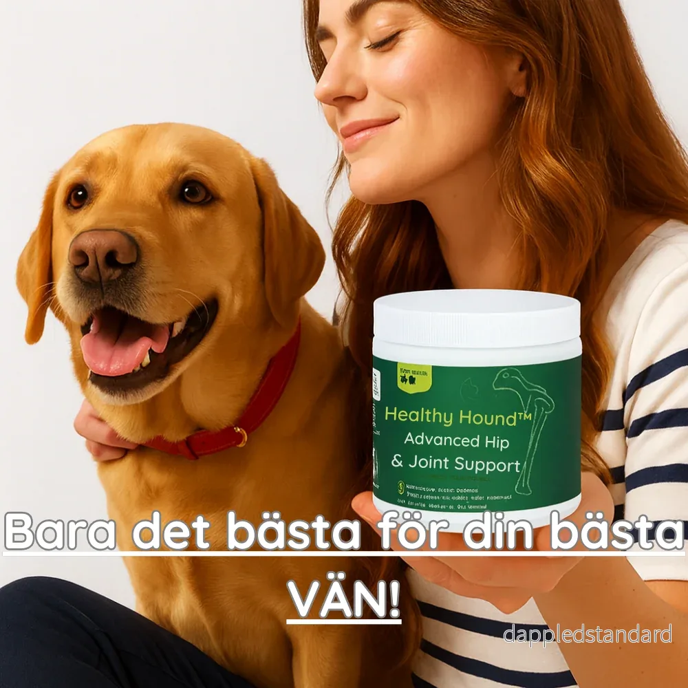 HealthyHound | 3-i-1 Probiotika som främjar din hunds Mag-, Hud- & Energiproblem. NU 1+1 GRATIS & 2+2 GRATIS MED EXTRA RABATT - Bild 2