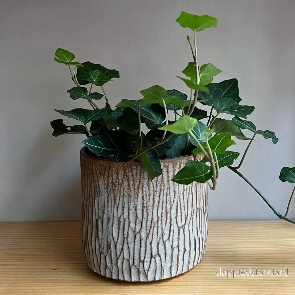 Kruka med struktur - Bild 2
