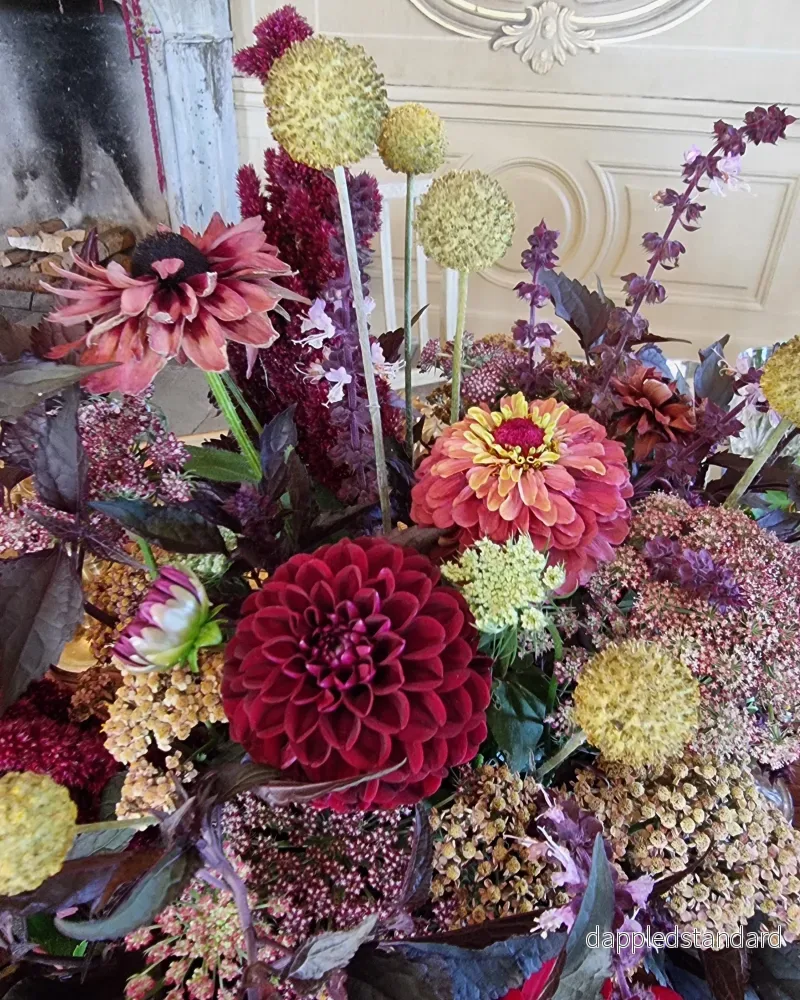 Blomstermorot Dara - Bild 3