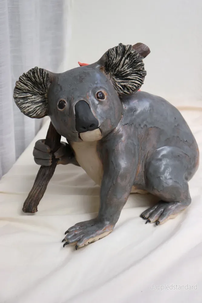 Koala - Bild 2