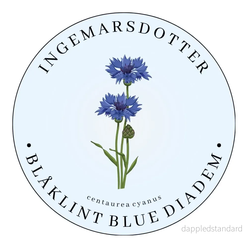 Blåklint Blue Diadem (storpack) Blåklint Blue Diadem (storpack)
