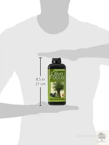 Olivträdsnäring - Olive focus - Bild 2