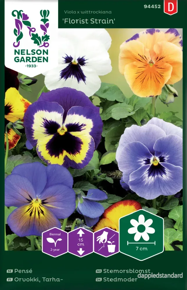 Pensé 'Florist strain', storblommig, blandade färger