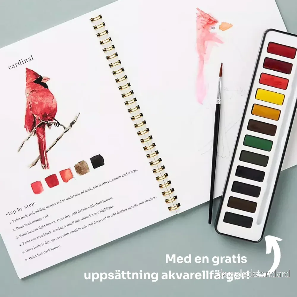 StartAkvarell | Tänd din kreativitet med vår roliga arbetsbok för akvarell!