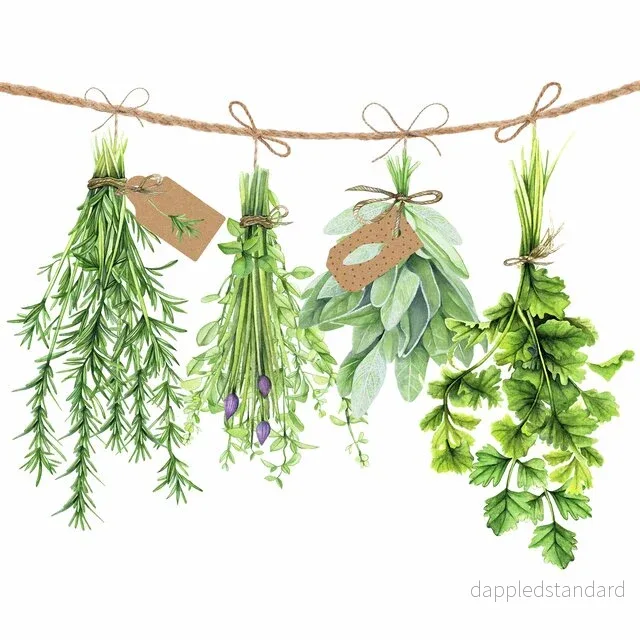 Servetter ”Fresh herbs”