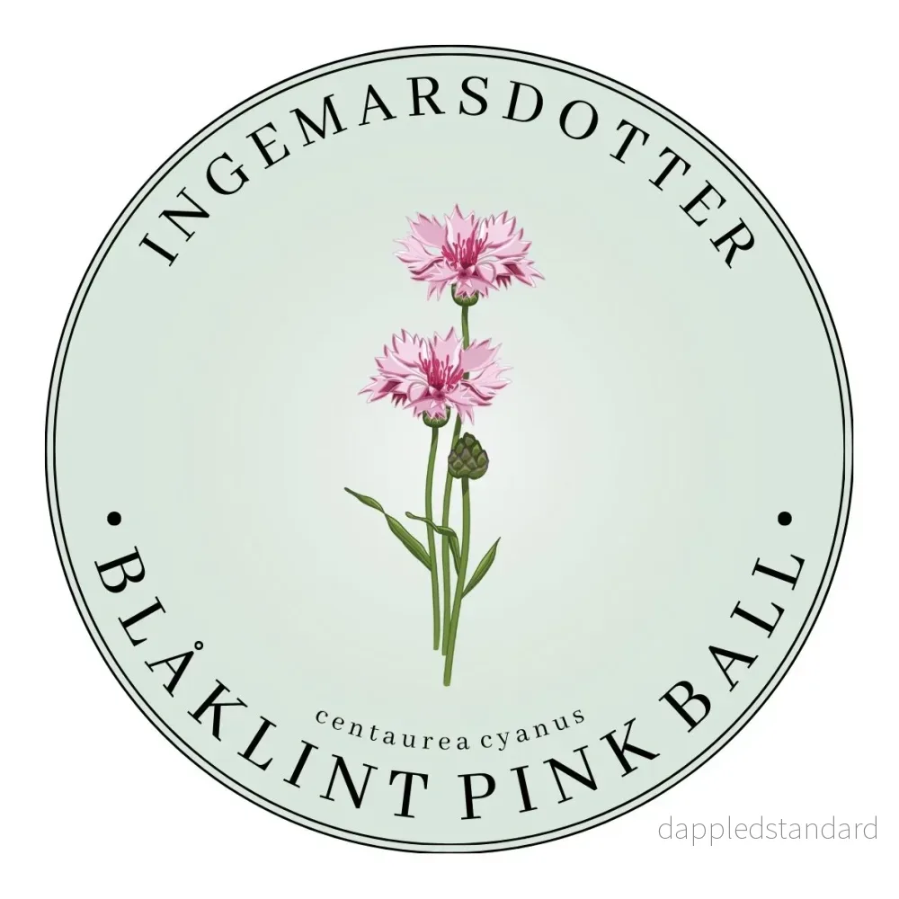 Pink Surprise - Bild 3
