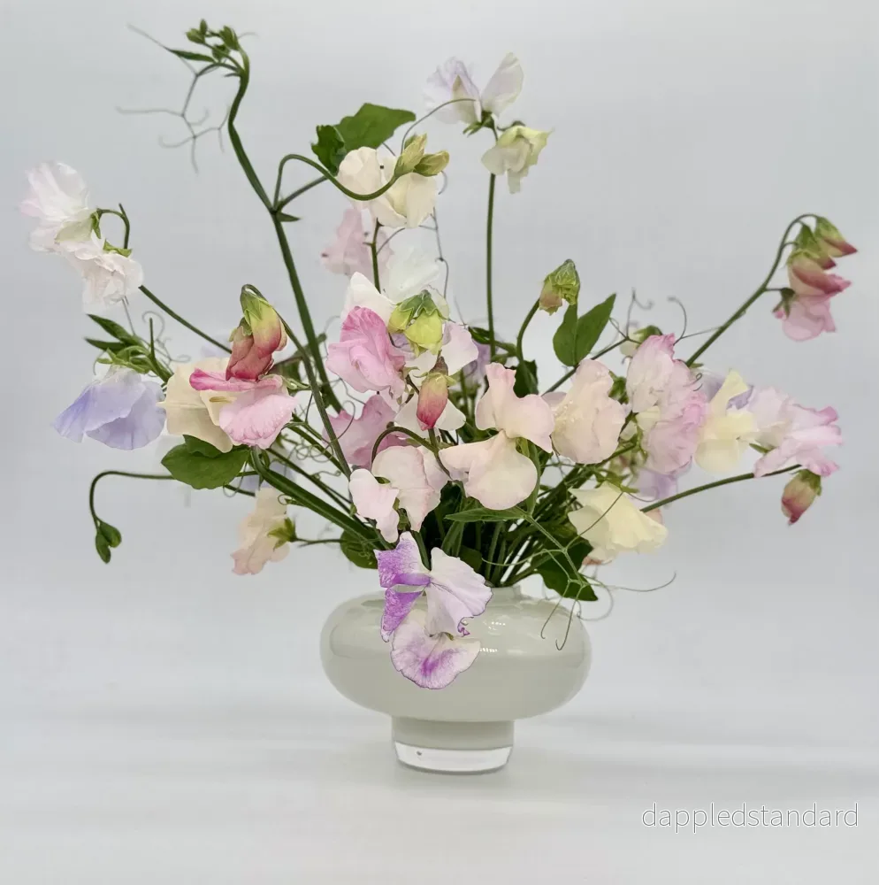 Petals in Pastel - Bild 2