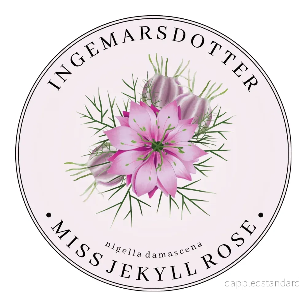 Nigella Miss Jekyll Rose (storpack) Nigella Miss Jekyll Rose (storpack)