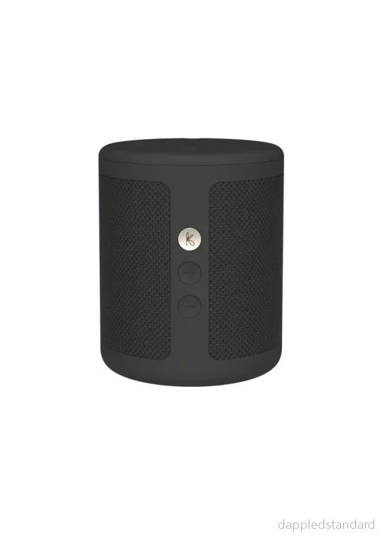 Dabbie Högtalare/Radio DAB+ Bluetooth 5.3 Svart