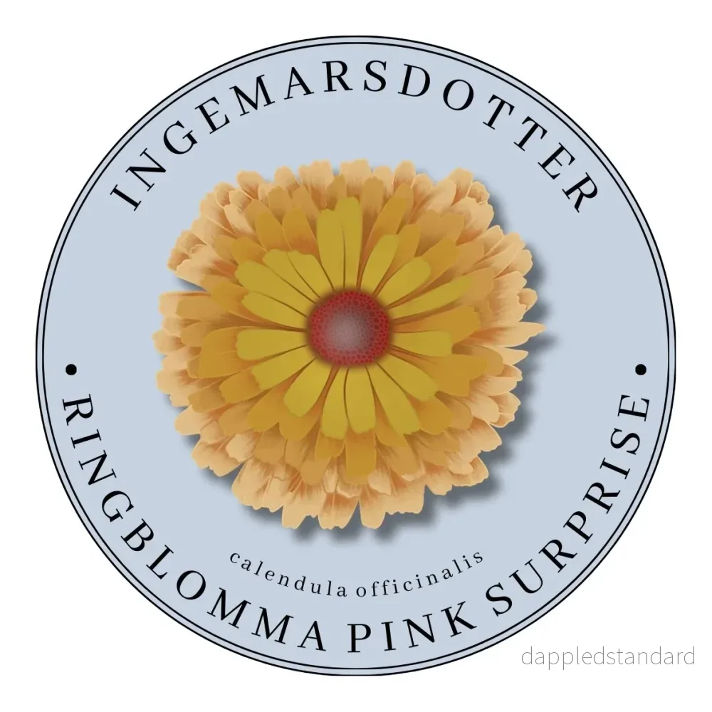 Ringblomma Pink Surprise Ringblomma Pink Surprise