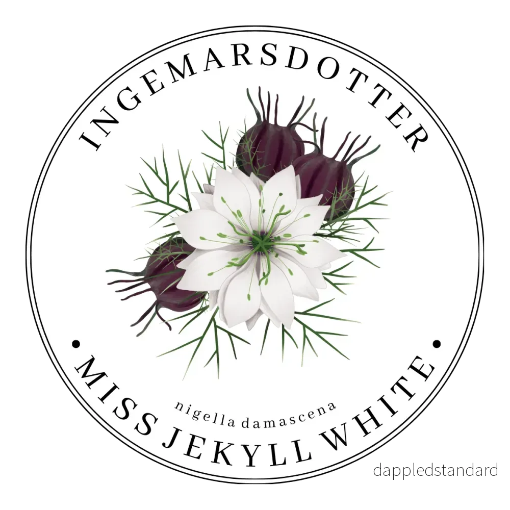 Nigella Miss Jekyll White (storpack) Nigella Miss Jekyll White (storpack)