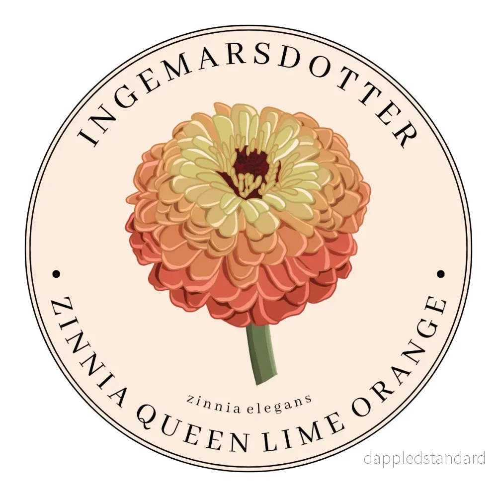 Zinnia Queen Lime Orange Zinnia Queen Lime Orange