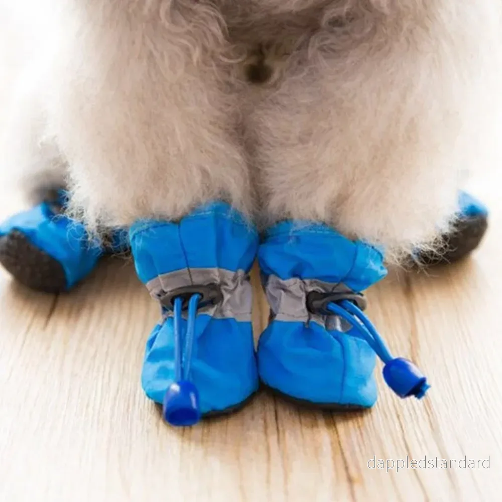 FrostPaw™ Vattentäta Hundstövlar – Skydd mot Snö & Vägsalt 1+1 GRATIS