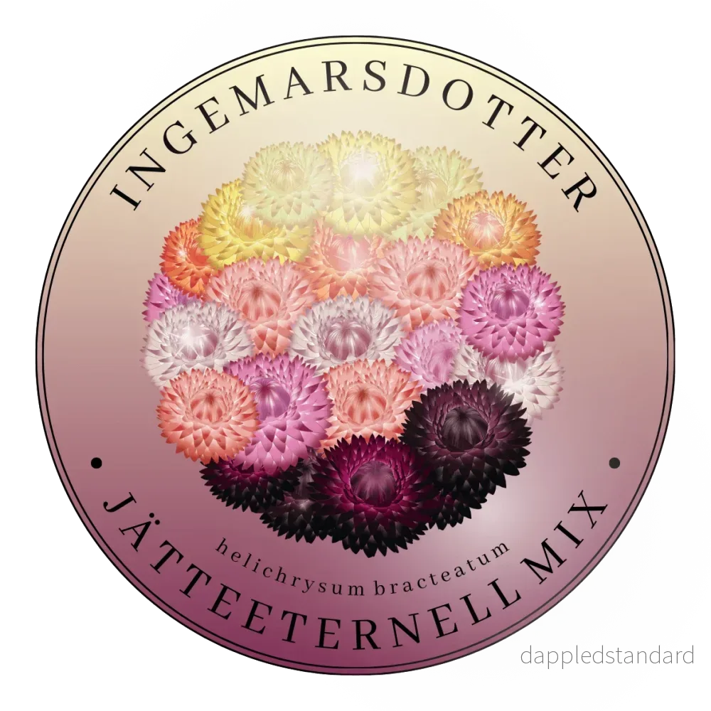 Jätte-Eternell Giant mix Jätte-Eternell Giant mix