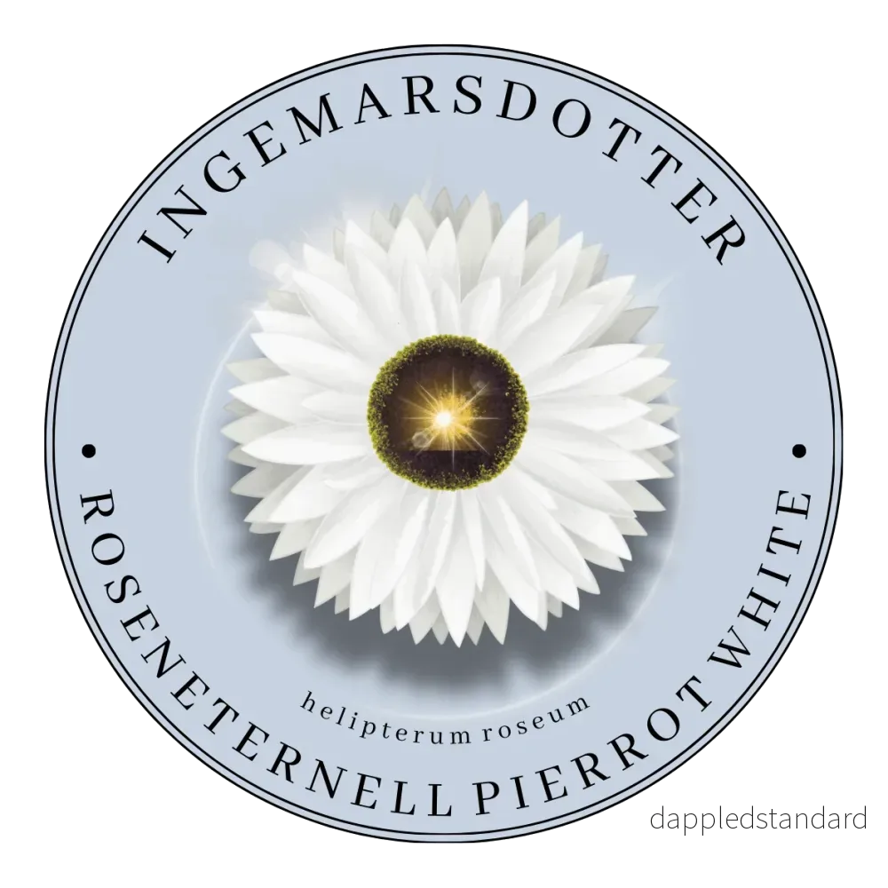 Roseneternell Pierrot White Roseneternell Pierrot White