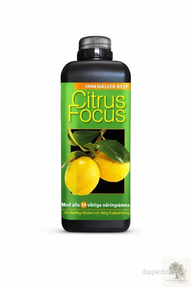 Citrusnäring – Citrus focus