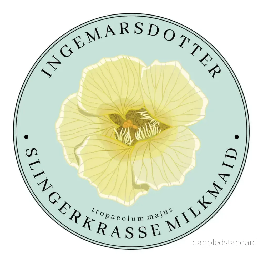 Slingerkrasse Milkmaid Slingerkrasse Milkmaid