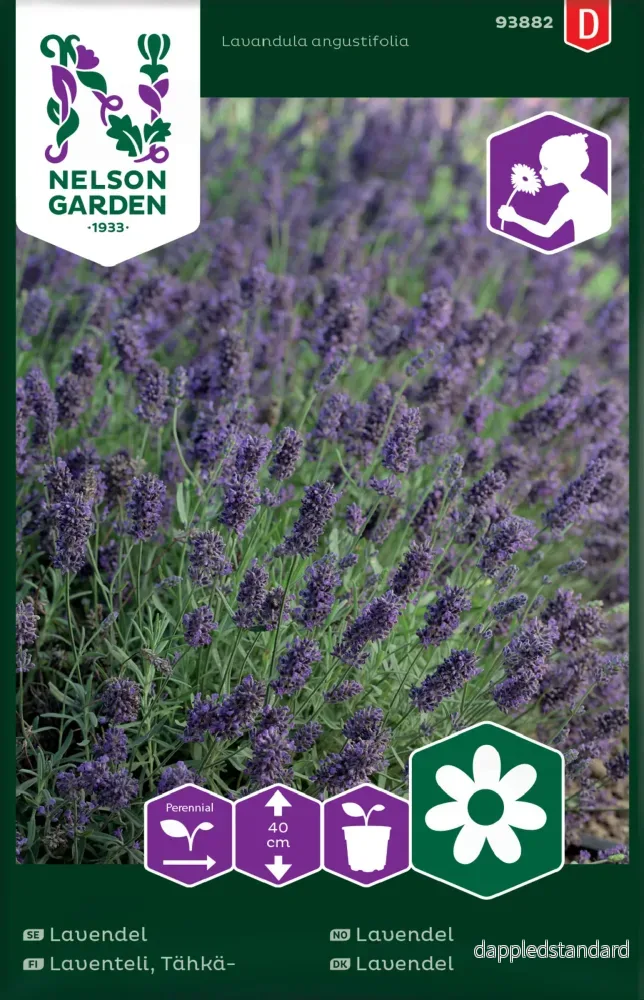 Lavendel