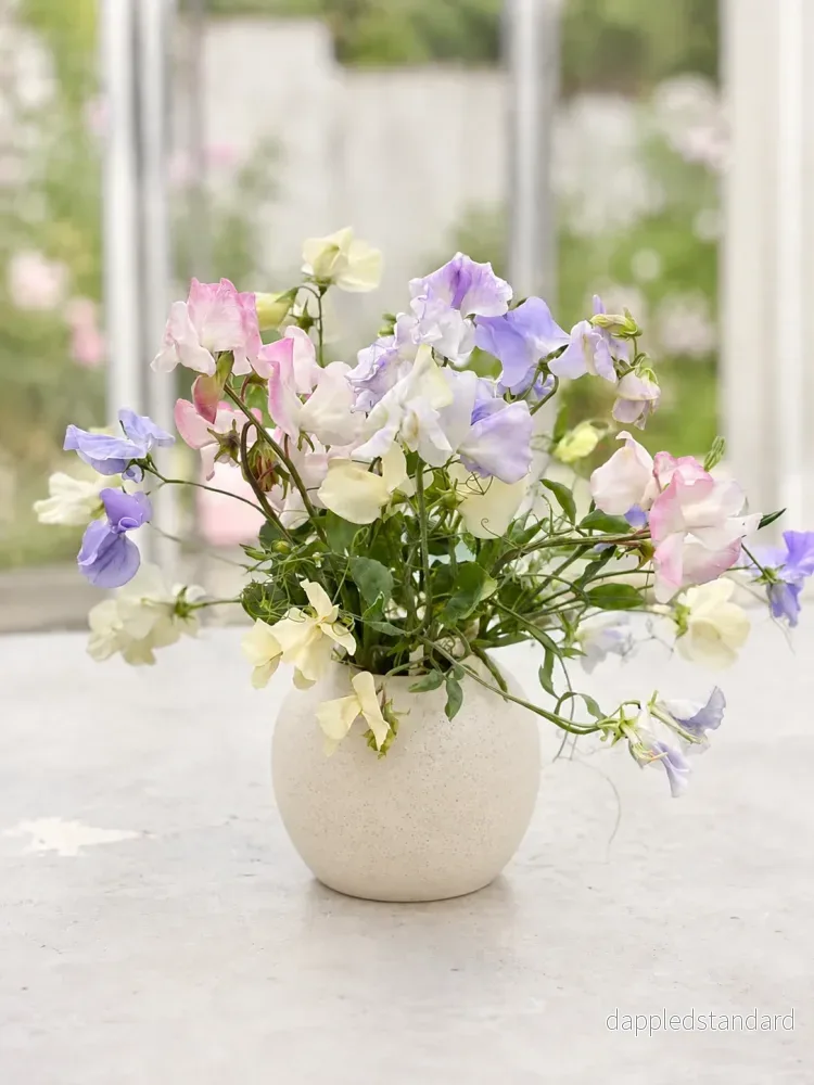 Petals in Pastel