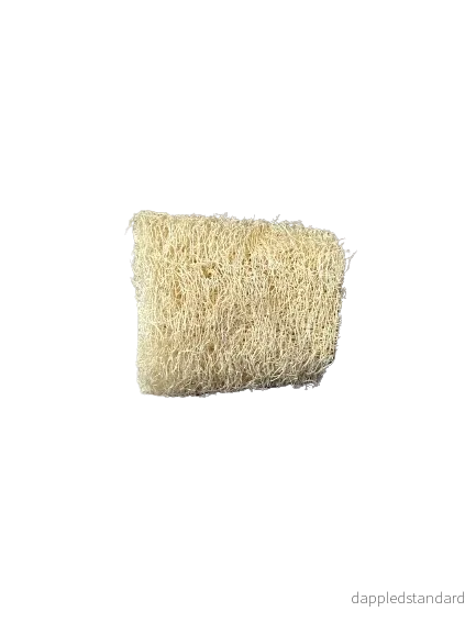 Loofasvamp Loofasvamp