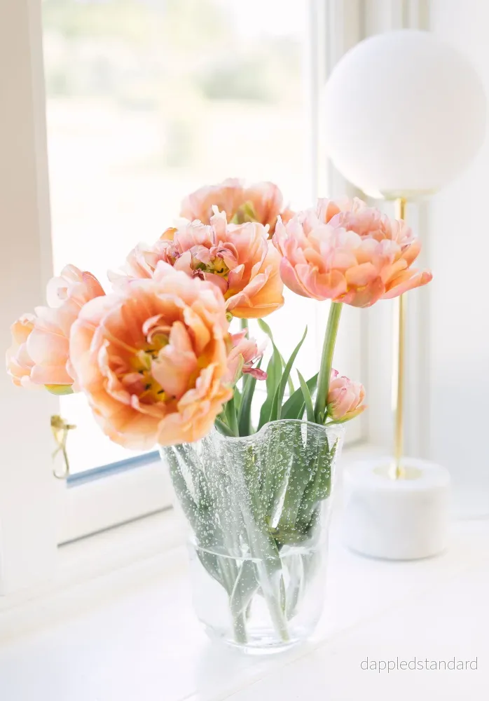Tulip Tulpanvas - Bild 2