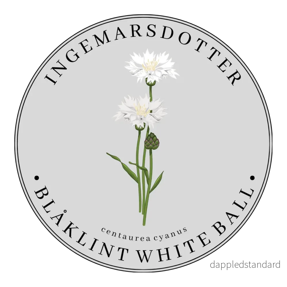 Blåklint White Ball