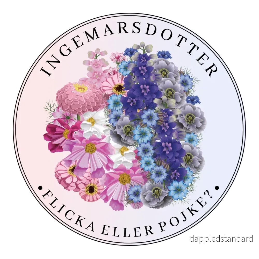 Gender reveal – Flicka eller pojke Gender reveal – Flicka eller pojke