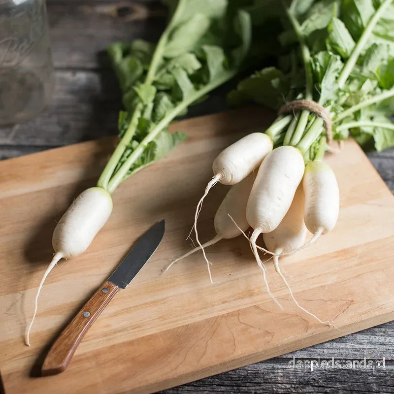 Daikon/Asiatisk rättika ´Mini Mak´ F1