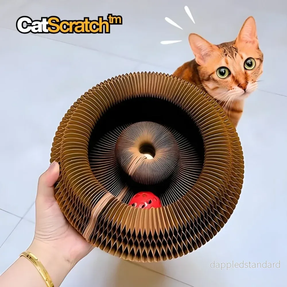 CatScratch | Rolig klöslek för aktiva katter